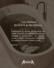 GEL DE DUCHA HERBAL BENDITA & PROSPERA PARA BAÑO
