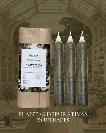 VELAS SAGRADAS DE LIMPIEZA CUBIERTAS DE PLANTAS DEPURATIVAS PARA INTENCIONAR